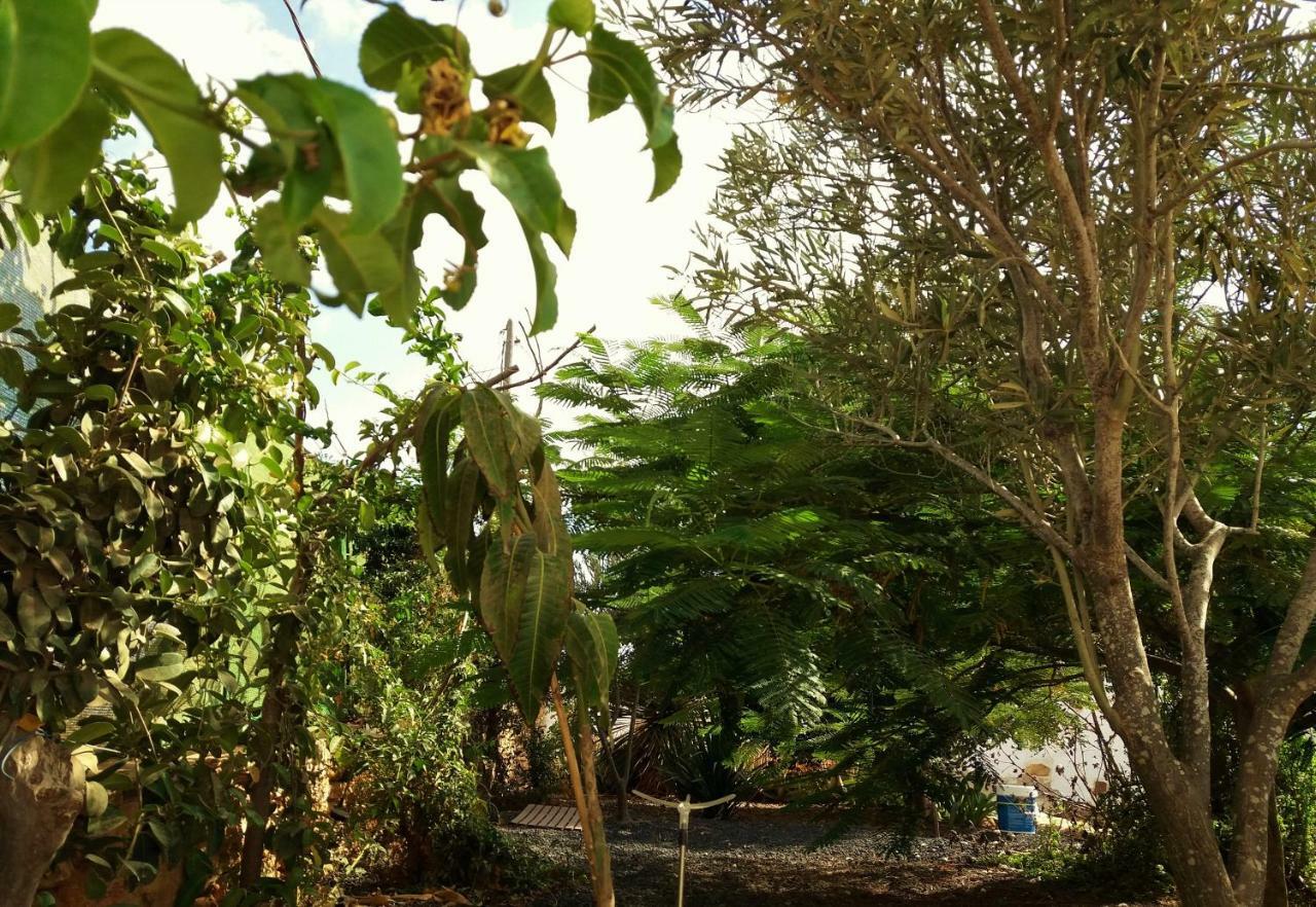 Casita Rural Molino De La Corte アンティグア エクステリア 写真